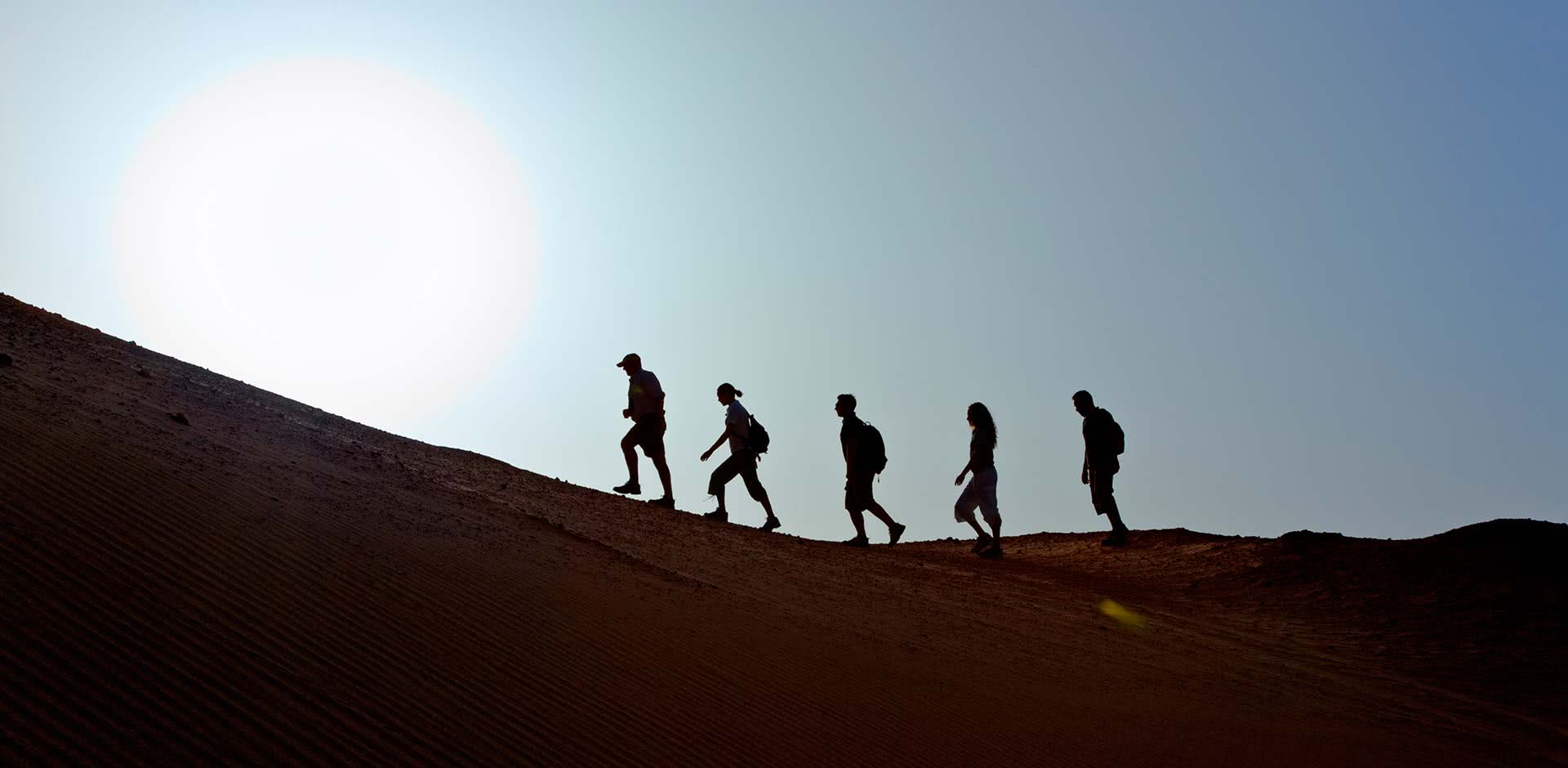 Sir Bani Yas Island