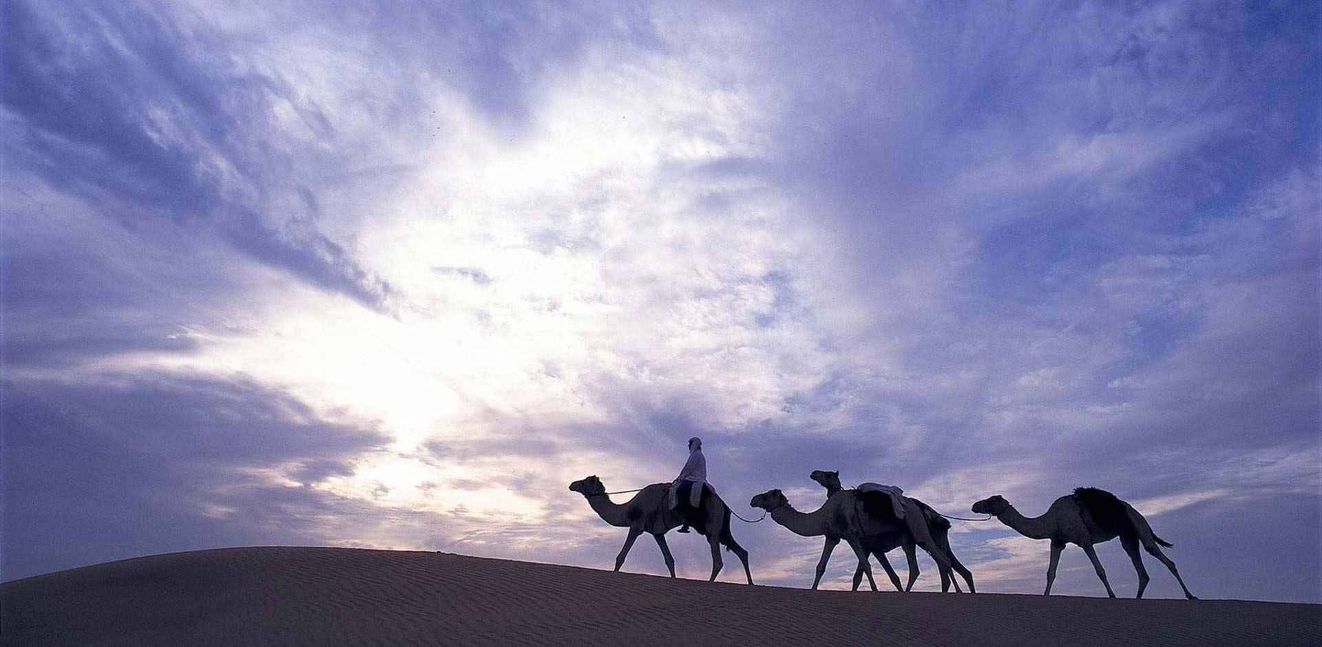 Al Maha