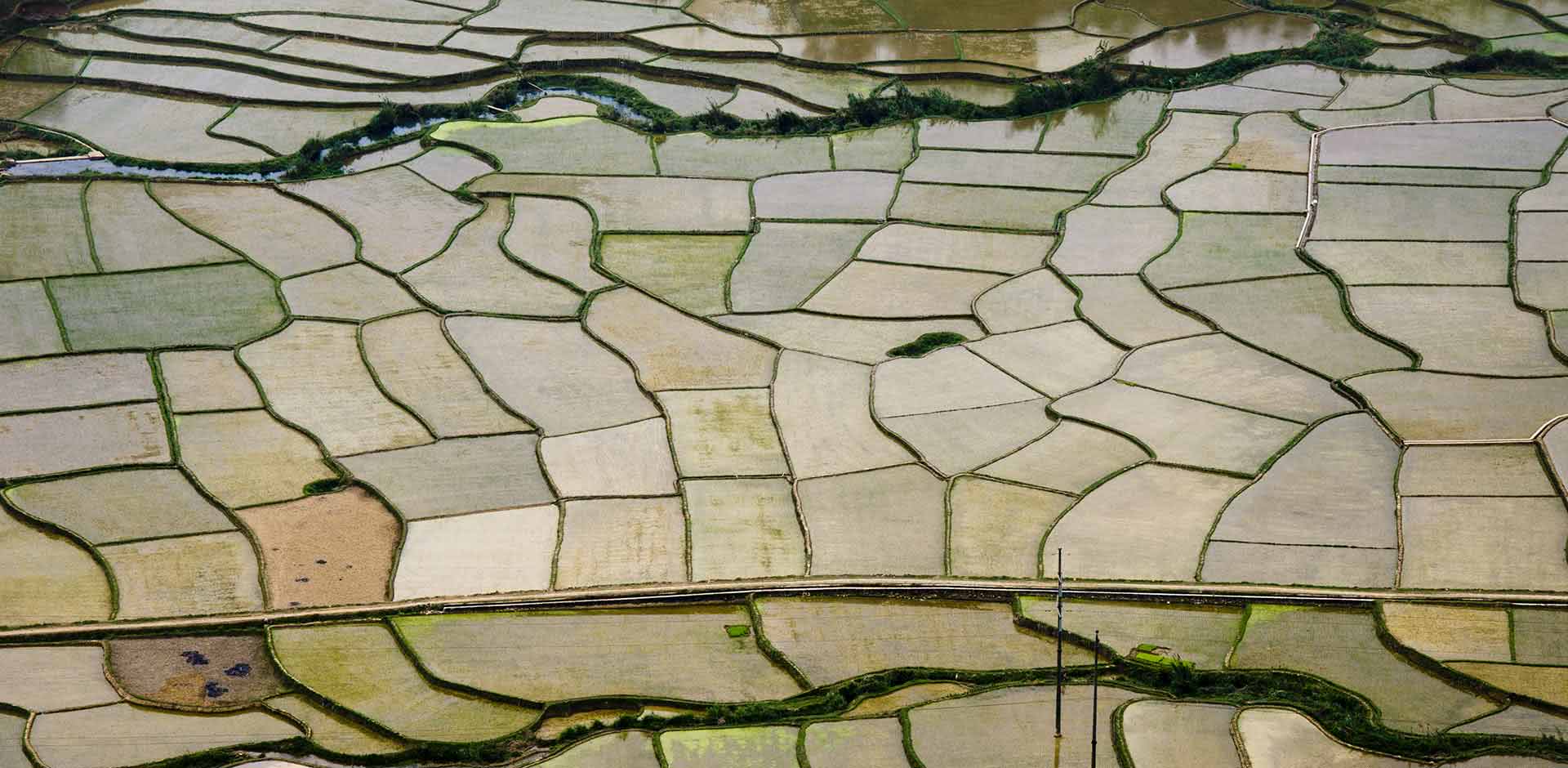 Mai Chau