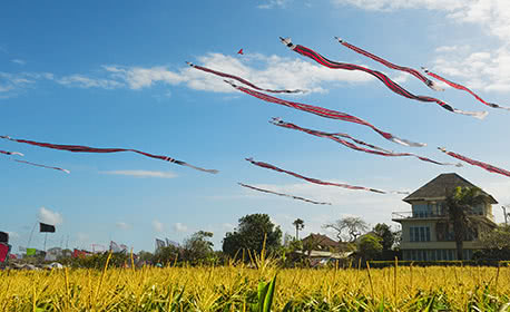 Bali Kite Festival