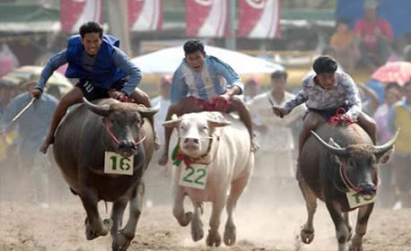 Buffalo Race Festival