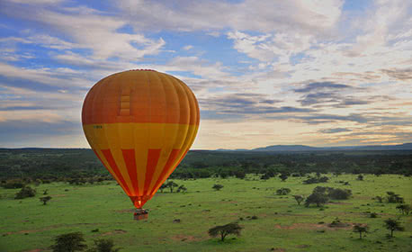 Hot Air Balloon Festival