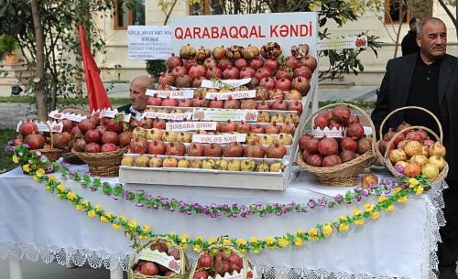 Pomegranate Festival