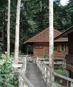 Borneo Rainforest Lodge