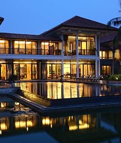 Banyan Tree