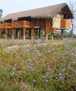 Diphlu River Lodge 