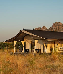 SUJAN JAWAI Leopard Camp