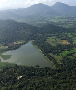 Araula Forest Lodge