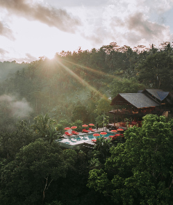 Buahan, A Banyan Tree Escape