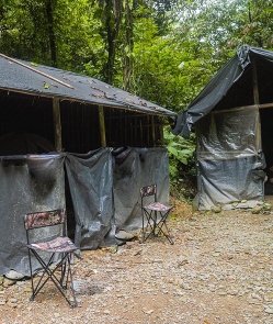 Jungle Shelter