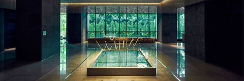 THE AMNIS, a Luxury Collection Hotel