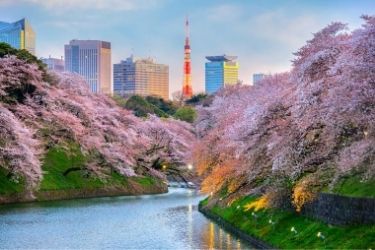 Janu Tokyo