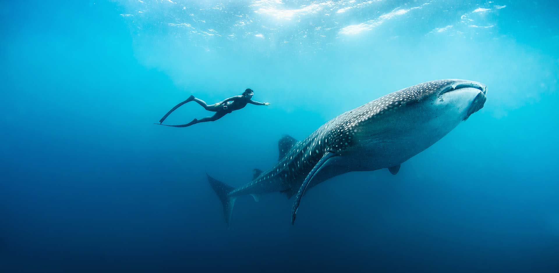 The Ultimate Maldives Getaway in Baa Atoll