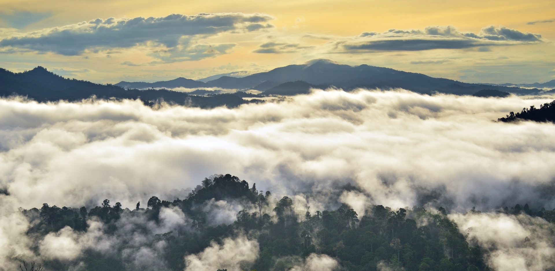 The Dusun: Jungle Trekking Adventure to Waterfall with Jungle Guide 2024 -  Quala Lumpur