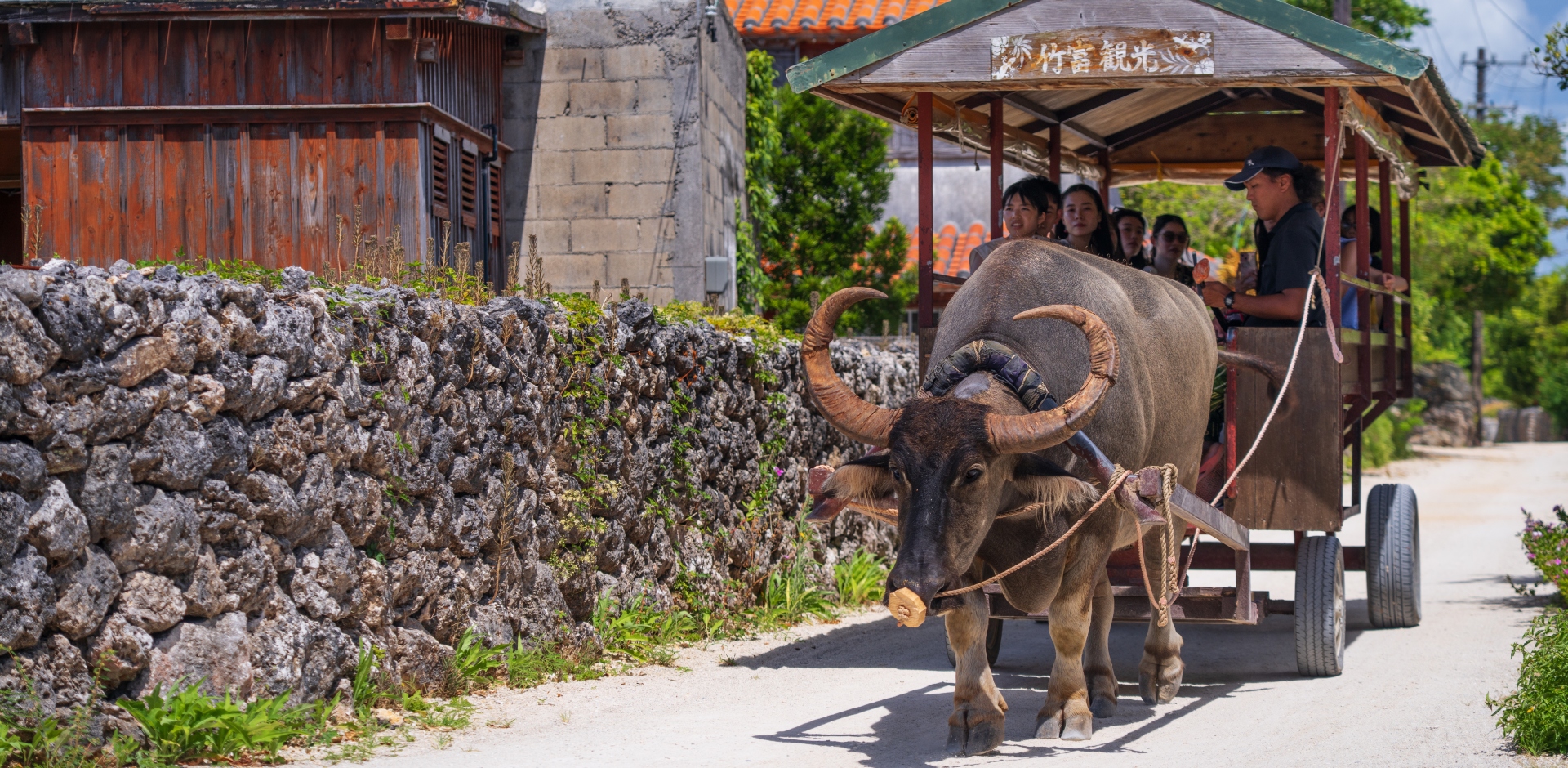 Discover Okinawa