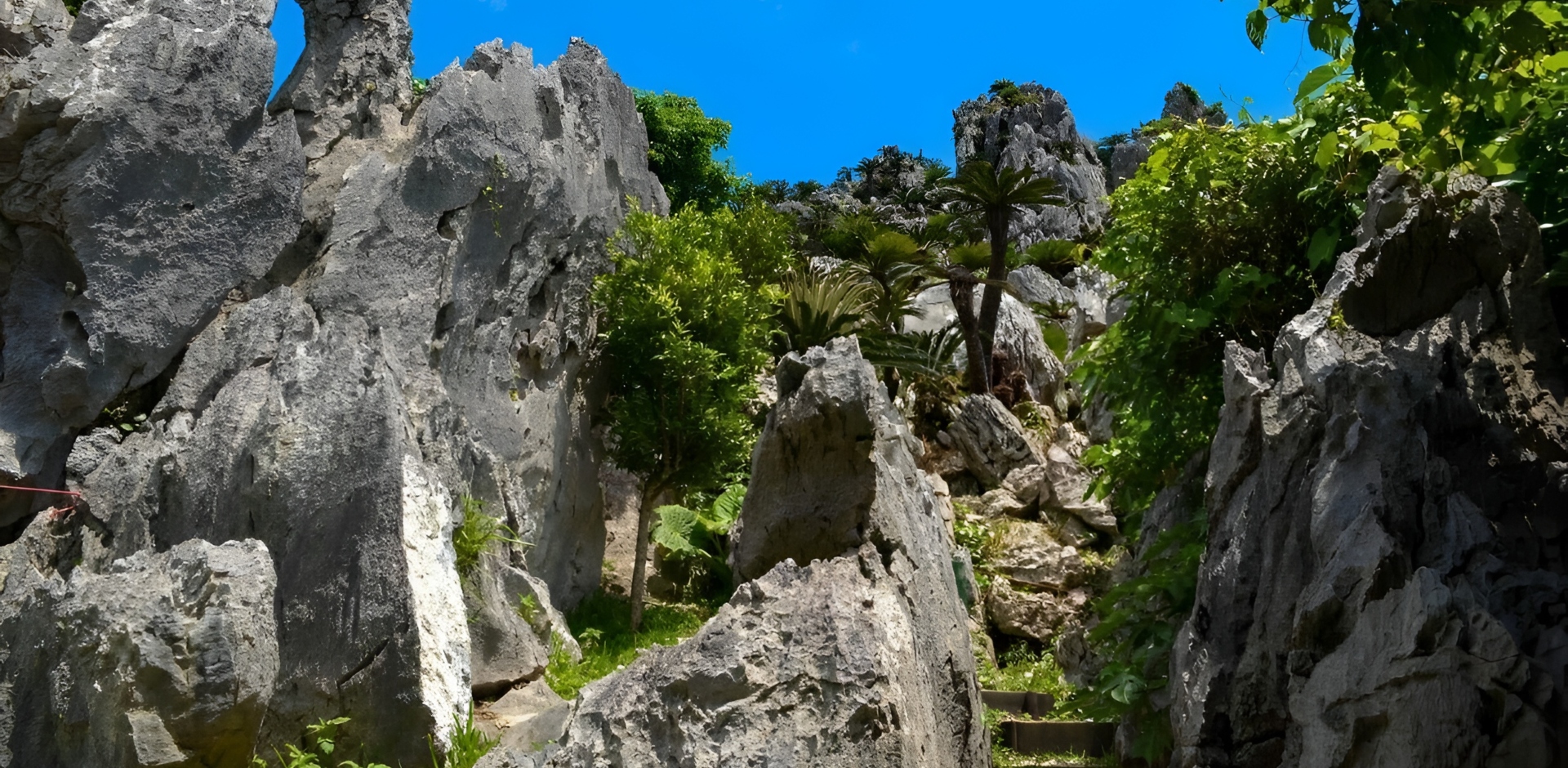 Discover Okinawa