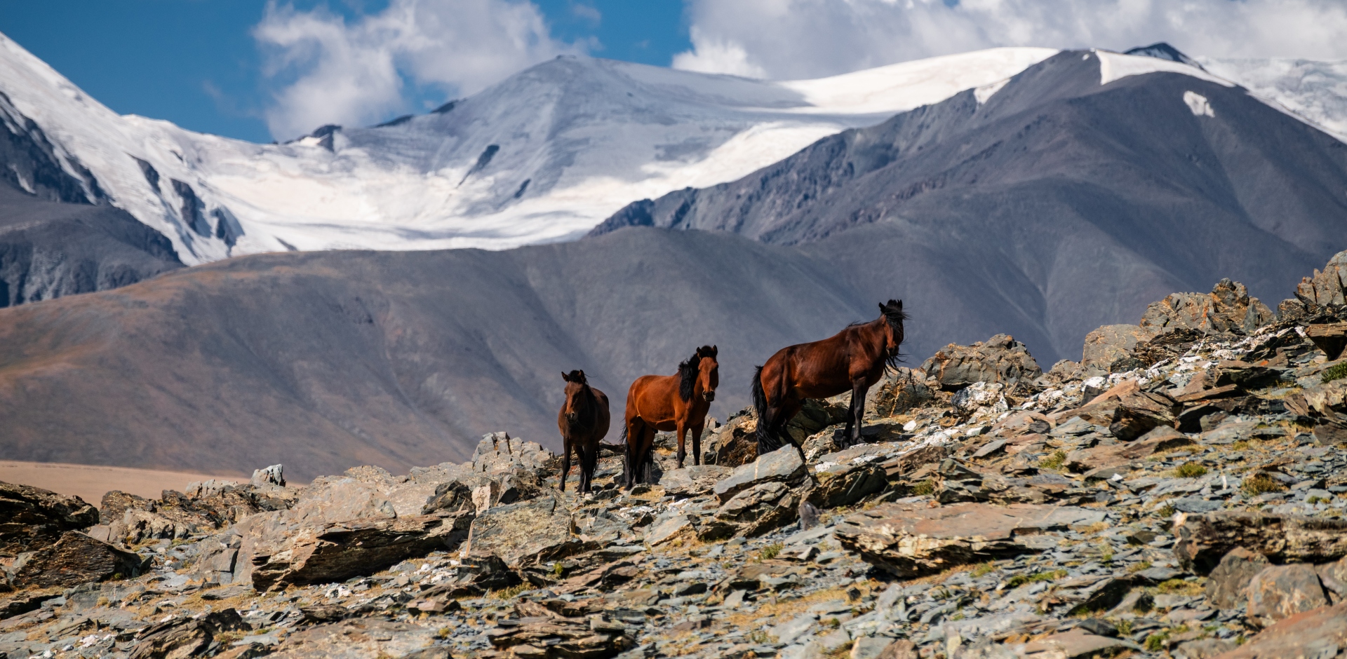 Discover Mongolia: From the Gobi to the Altai