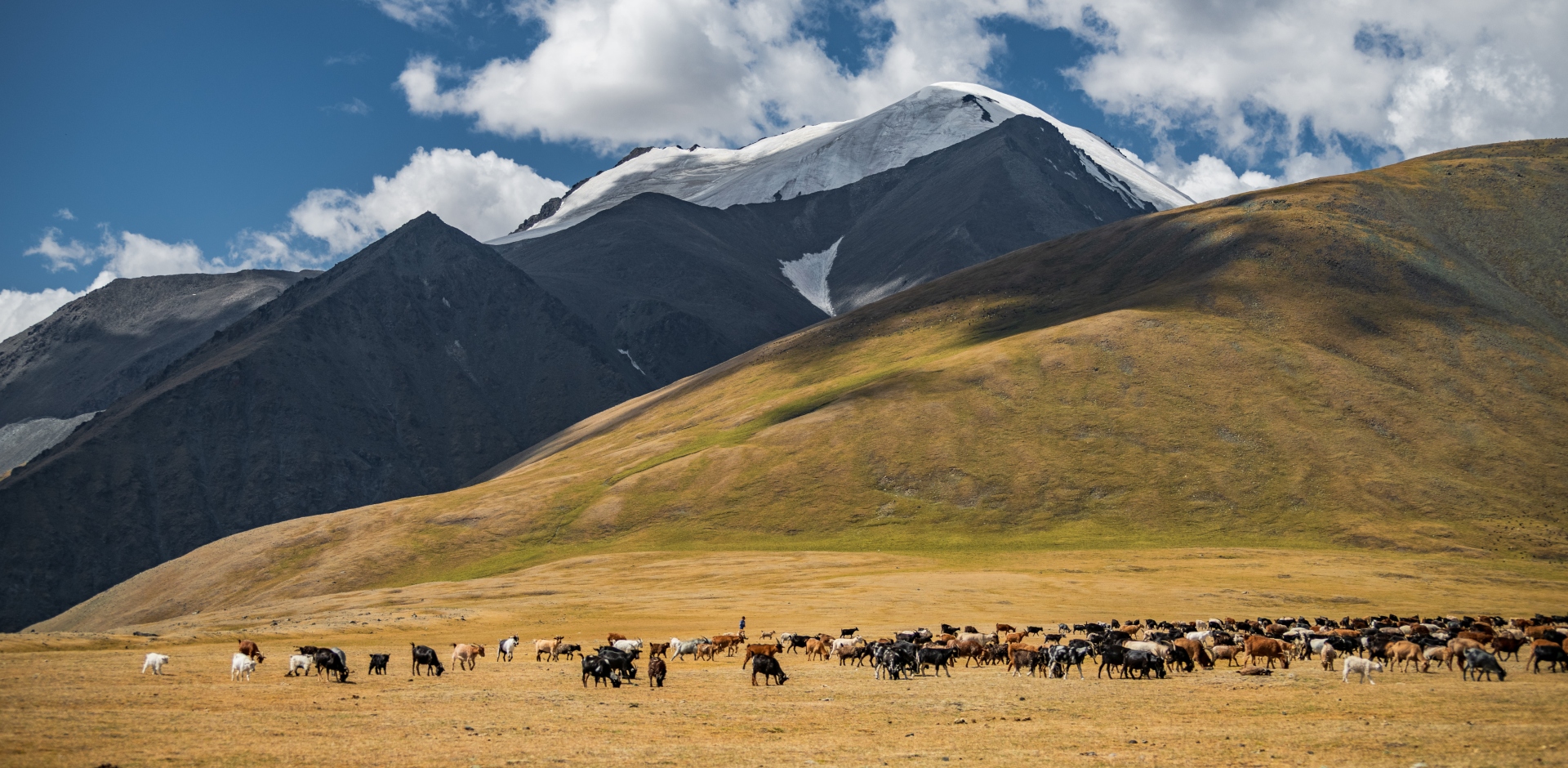 Discover Mongolia: From the Gobi to the Altai