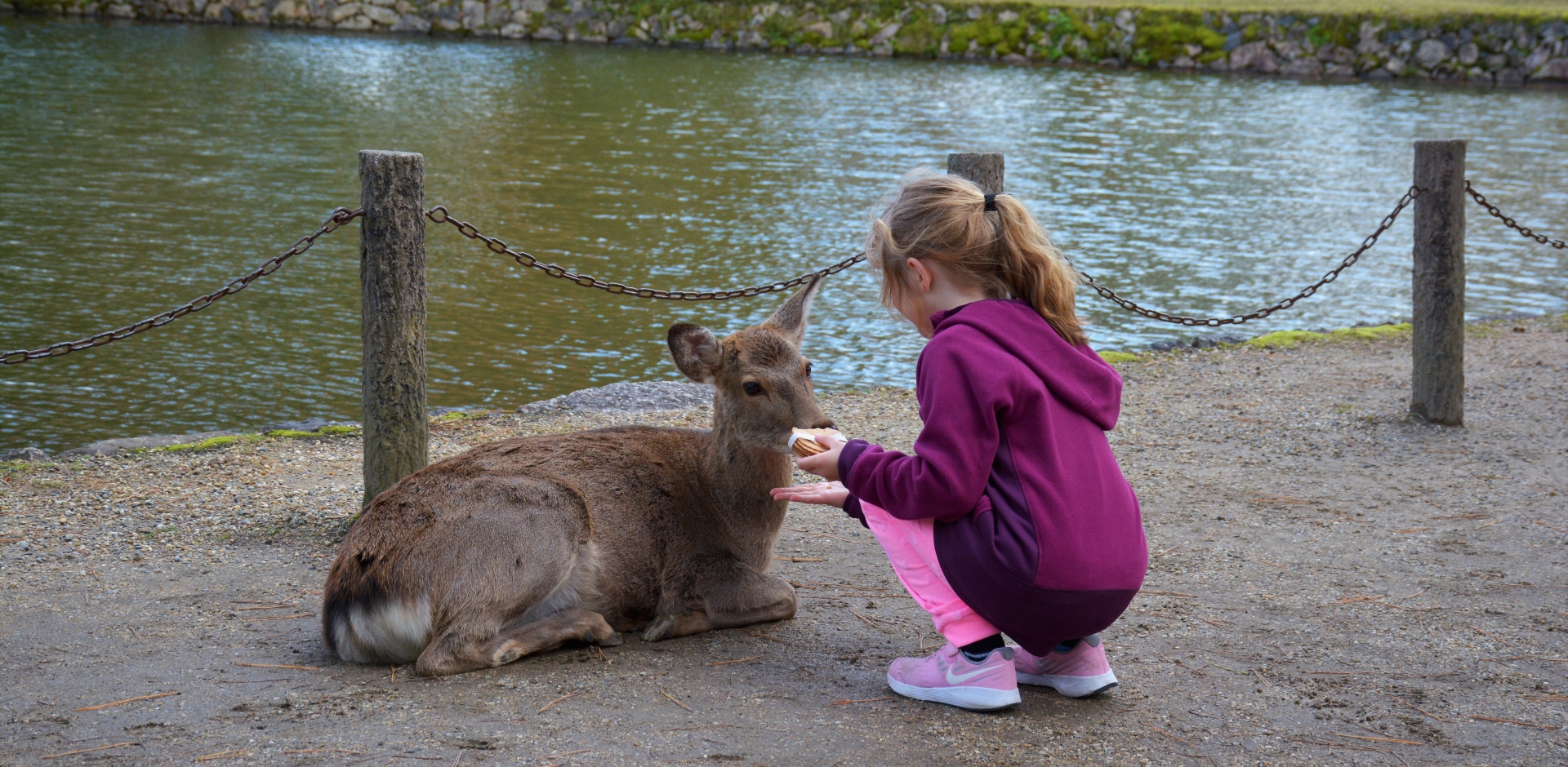 Japan with Kids