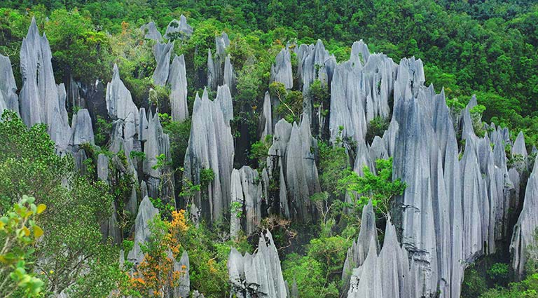 Borneo's UNESCO Wonders