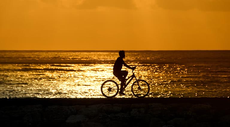 Cycle Sri Lanka: From Highlands to Coast