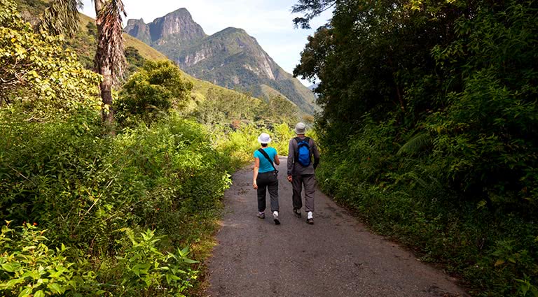 Historic Sites and Stunning Hikes: Exploring the Cultural Gems of Sri Lanka