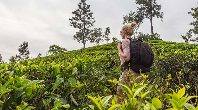 Trekking Exotic Sri Lanka