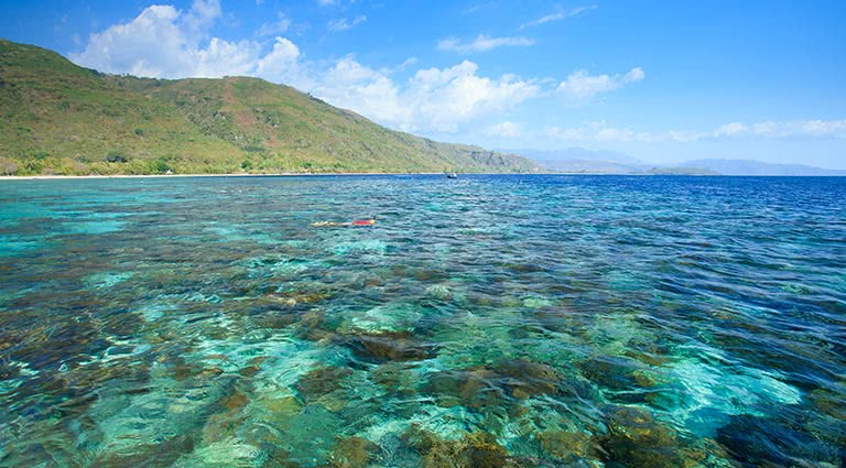 Breathtaking Cruise from Maumere to Ambon