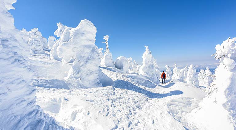 Winter Fun and Powder Chasing Through Tohoku 