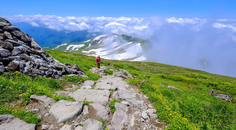 A Tohoku Summer: Hiking and Festivals