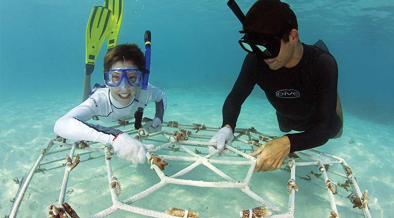 Marine Conservation in the Maldives