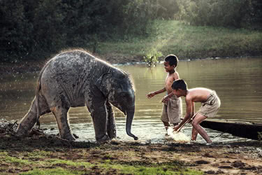 Jungles, Rivers &amp; Elephants: Vientiane to Luang Prabang