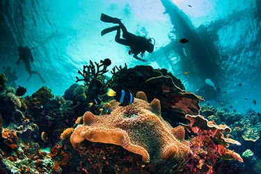 Culture and Diving in the Philippine Islands