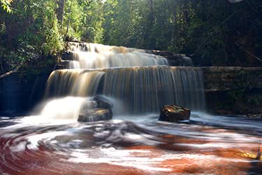 Borneo's Lost World: The Magnificent Maliau Basin