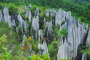 Borneo&#039;s UNESCO Wonders
