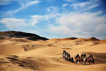 The North Gobi Steppe: Sand Dunes, Camels, and Gers