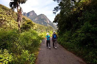 Historic Sites and Stunning Hikes: Exploring the Cultural Gems of Sri Lanka