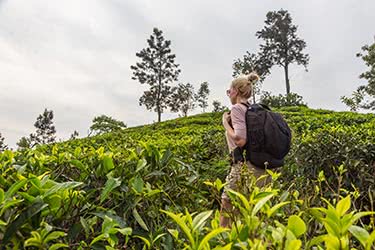 Trekking Exotic Sri Lanka