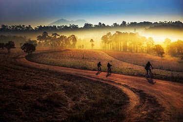 Active Chiang Mai