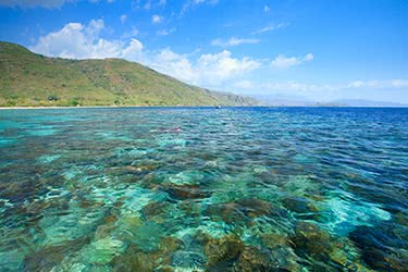 Breathtaking Cruise from Maumere to Ambon