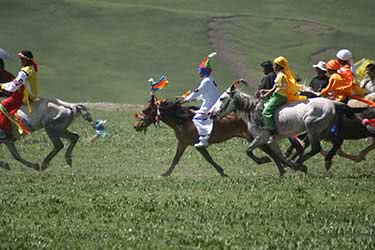 Yushu and Litang Tibetan Horse Festivals