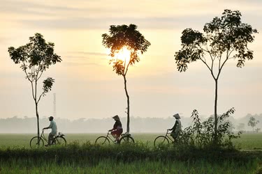 Southern and Central Vietnam by Bike