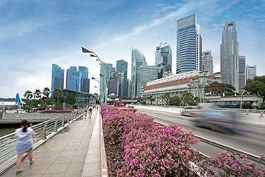 Crash Course in Singapore Life