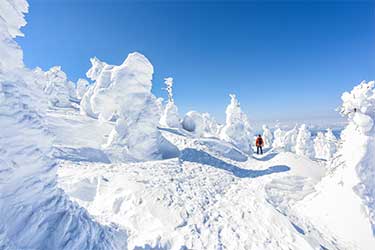 Winter Fun and Powder Chasing Through Tohoku 