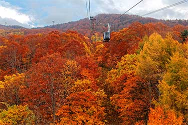 Colors of Autumn in Tohoku