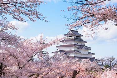 Spring In Tohoku The Ultimate Cherry Blossoms Path Luxury Japan