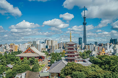 Tradition &amp; Technology: A Japan Cultural Journey