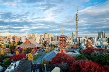 Tokyo &amp; Nikko: An Autumn Getaway