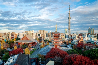 Tokyo & Nikko: An Autumn Getaway