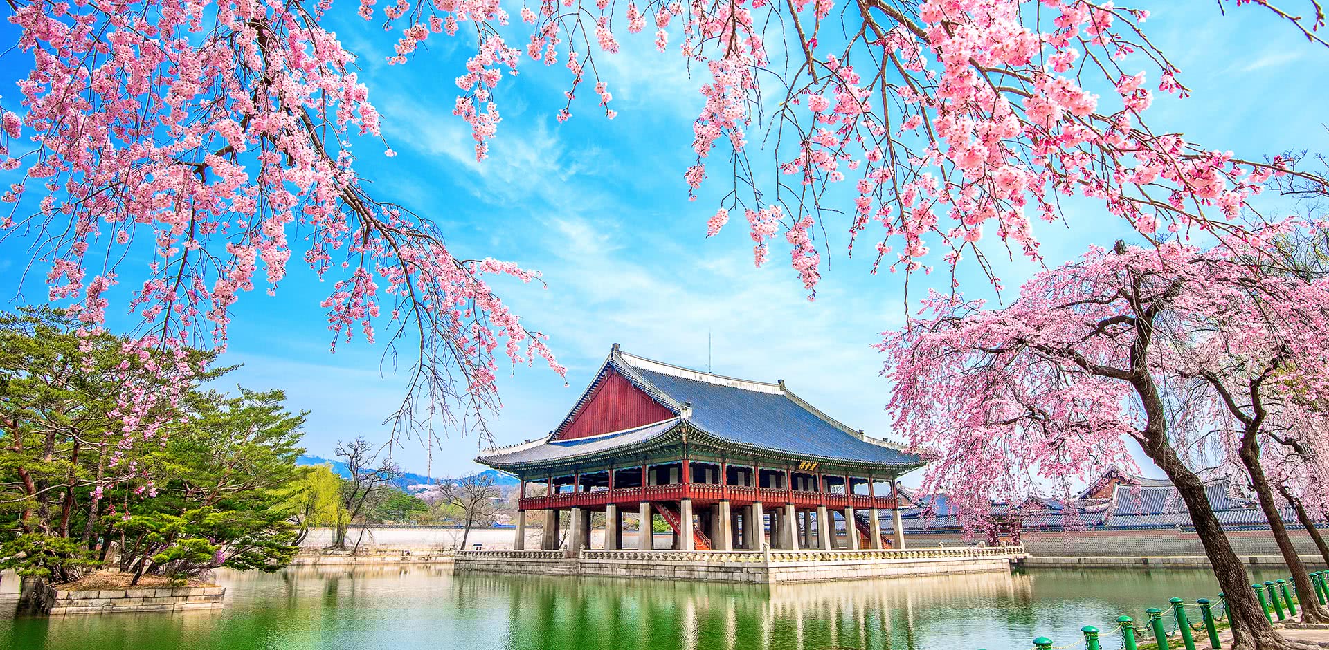South Korea June Luxe and Intrepid Asia Remote Lands
